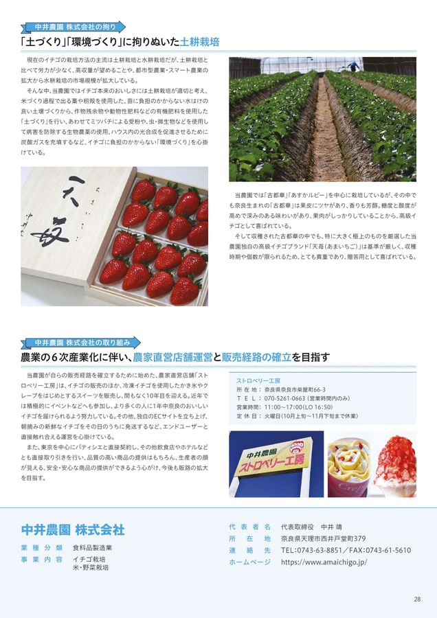 冷凍 いちご FFCテクノロジー 10㎏ 発送月が選べる 陽一郎園の完熟冷凍いちご 2.7kg令和4年群馬県